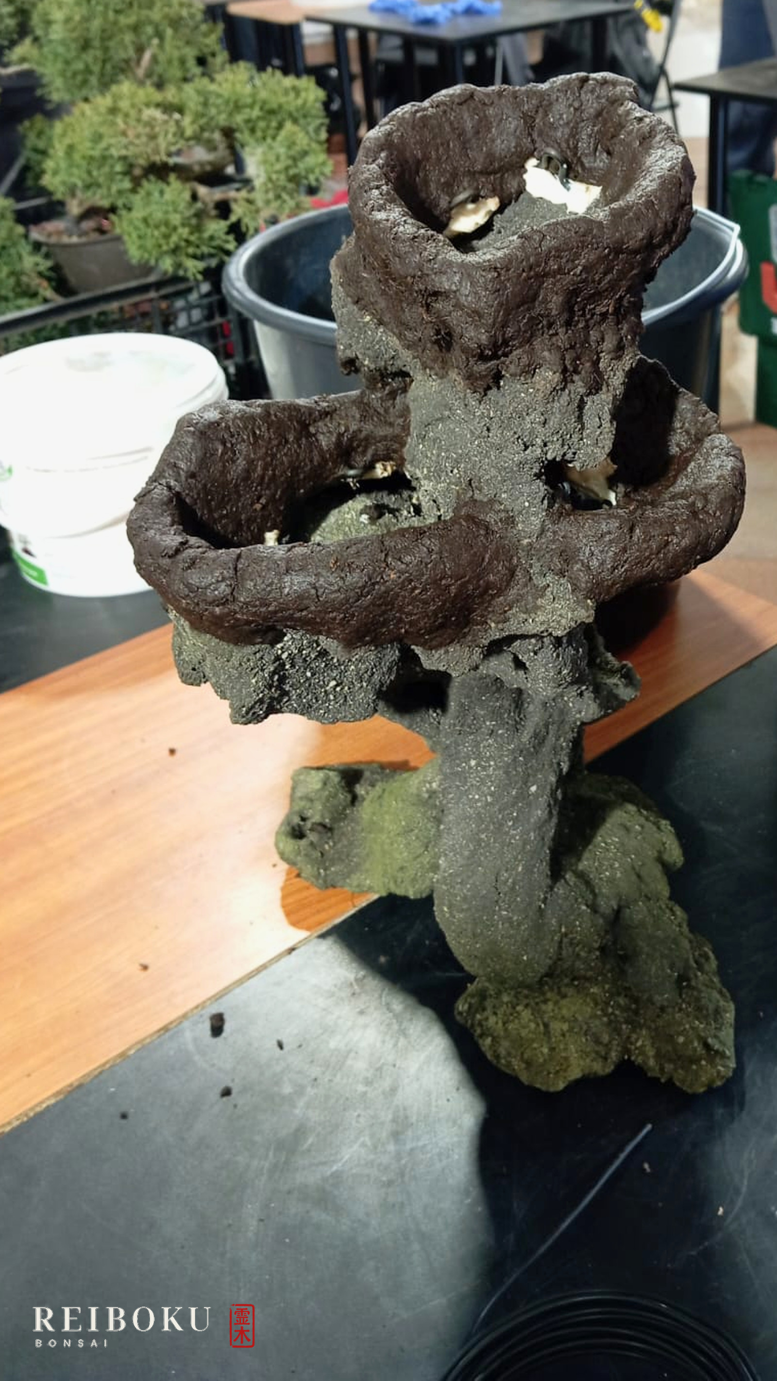 La roccia dell'ishizuki con le tasche per le piante, prima dell'impianto